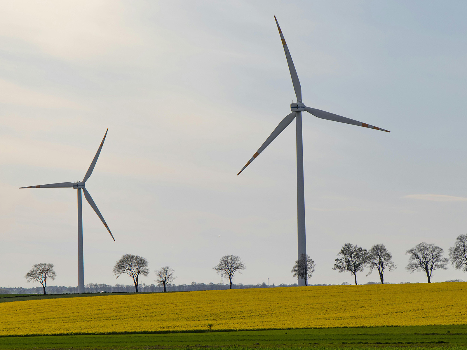 Czy turbina wiatrowa obniża rachunki za prąd? Wyliczenia dla różnych profili zużycia